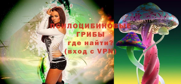 стафф Алексеевка