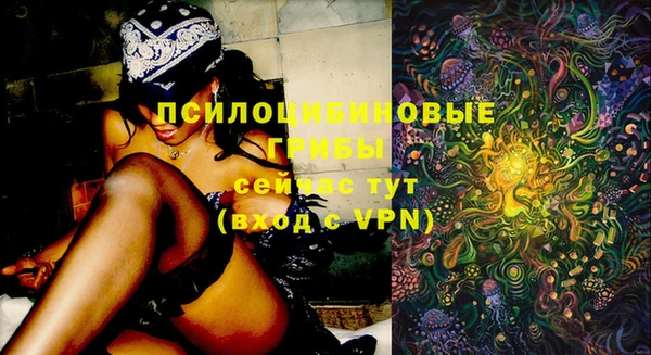 дурь Аркадак