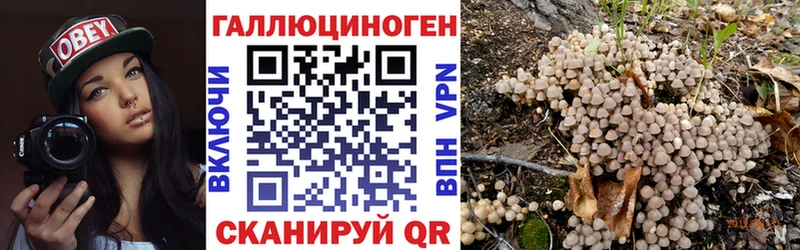 купить закладку  Петропавловск-Камчатский  KRAKEN маркетплейс  Галлюциногенные грибы GOLDEN TEACHER 
